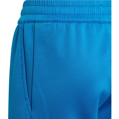 AdidasClassicsShortBoysBlue5.jpg